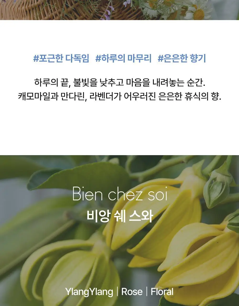 [기능성 디퓨저] 프라나롬 디퓨저 오일 4종 택 1 상세페이지 5